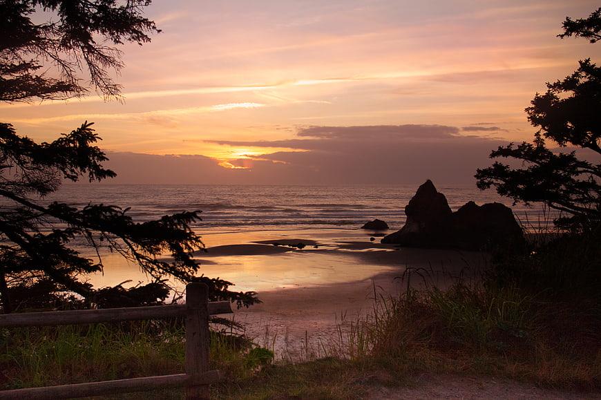 Golden Sunset Over Ocean Beach With Silhouetted Trees