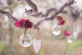 Hanging Glass Vase with Red Roses on Tree Branch