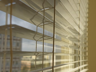 Close-up of Venetian Blinds with Soft Natural Light and Urban View