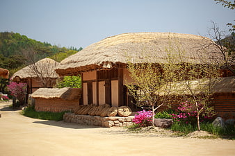 Traditional Korean Thatched Roof House