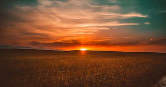 Golden sunset over vast wheat field with dramatic clouds