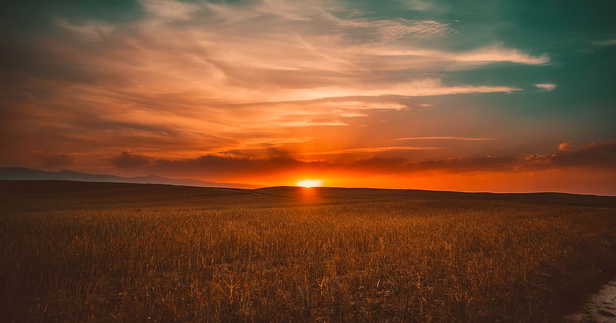Golden sunset over vast wheat field with dramatic clouds
