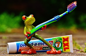 Frog Statue Holding Toothbrush And Bleed-a-med Toothpaste Tube