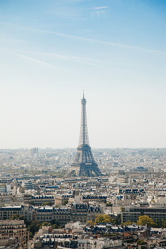 Aerial View of Eiffel Tower and Paris Cityscape