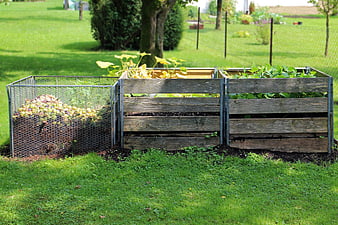 Wooden compost bins and raised garden beds in a green backyard