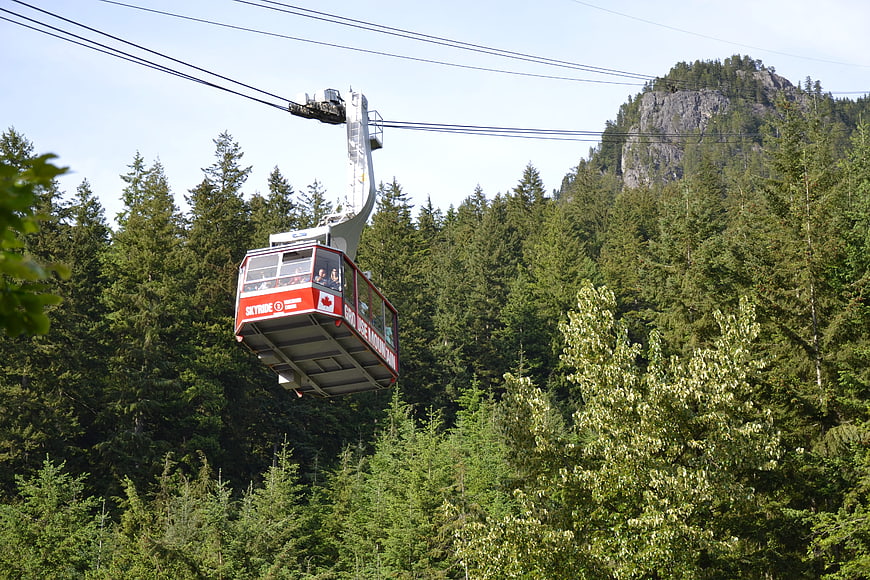 Red Skyride Gondola Cabin in Canadian Mountain Forest