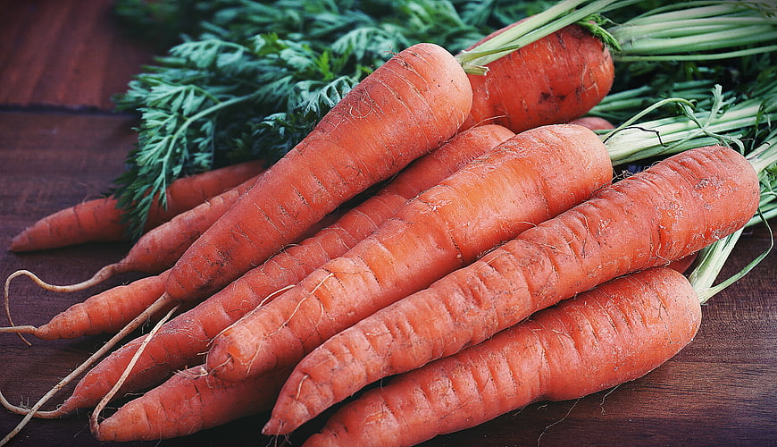 Fresh raw carrots with green tops on wooden table