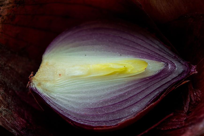 Close-up of sliced red onion with yellow center