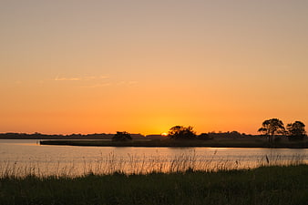 Serene sunset over calm lake with silhouetted trees and reeds