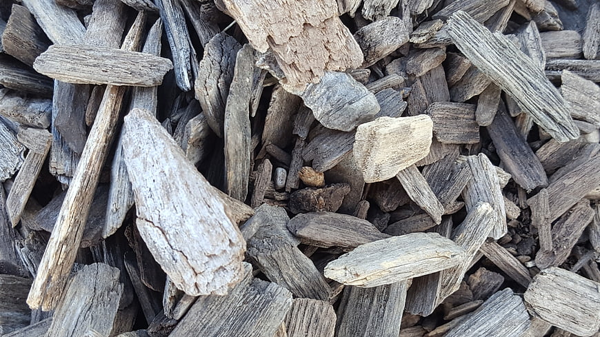 Close-up texture of weathered wood chips and bark pieces