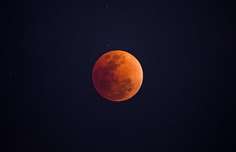 Blood Moon Eclipse Against Dark Night Sky