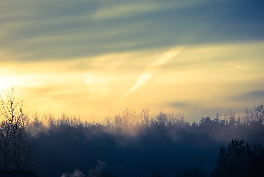 Misty Sunrise Over Silhouetted Forest Trees