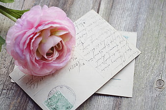 Vintage postcard with handwritten text and pink ranunculus on rustic wood
