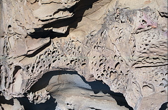 Close-up of weathered honeycomb rock texture with erosion holes