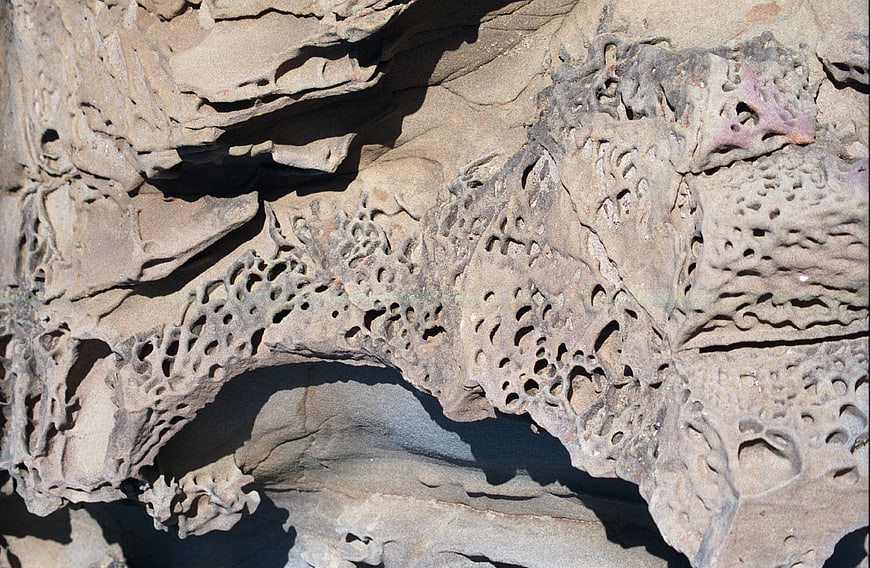 Close-up of weathered honeycomb rock texture with erosion holes