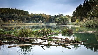 Serene River Landscape with Misty Forest Reflections