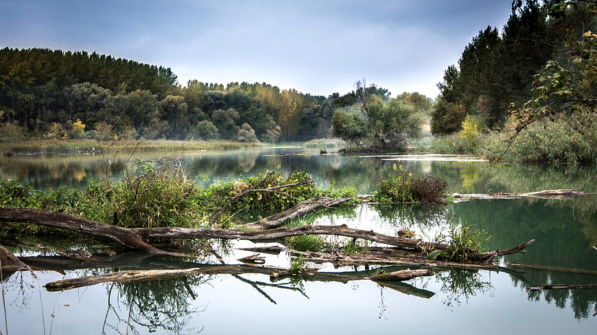 Serene River Landscape with Misty Forest Reflections