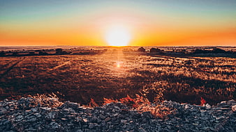 Golden Sunset Over Rolling Hills and Stone Wall