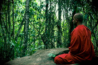 Buddhist monk meditating in red robes on a rock in a lush green forest
