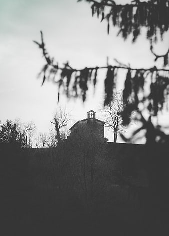 Black and white church tower through blurred branches
