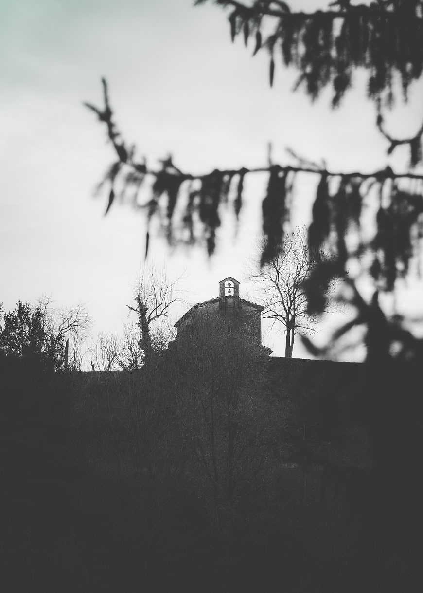 Black and white church tower through blurred branches