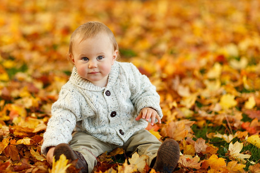 Cute baby boy sitting in autumn leaves wearing white sweater