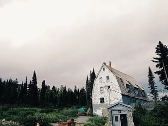 Old White House with Peeling Paint in Forest
