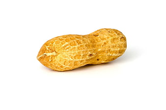 Single Whole Peanut In Shell Isolated On White Background