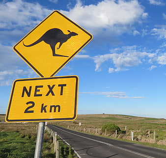 Yellow kangaroo crossing road sign on Australian highway