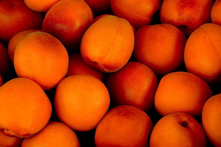 Close-up of fresh ripe apricots with vibrant orange skin