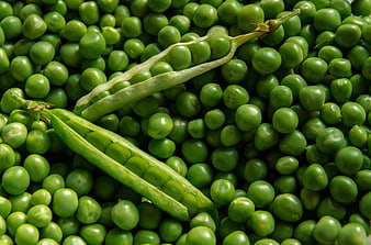 Fresh Green Peas and Pods Close-Up Texture