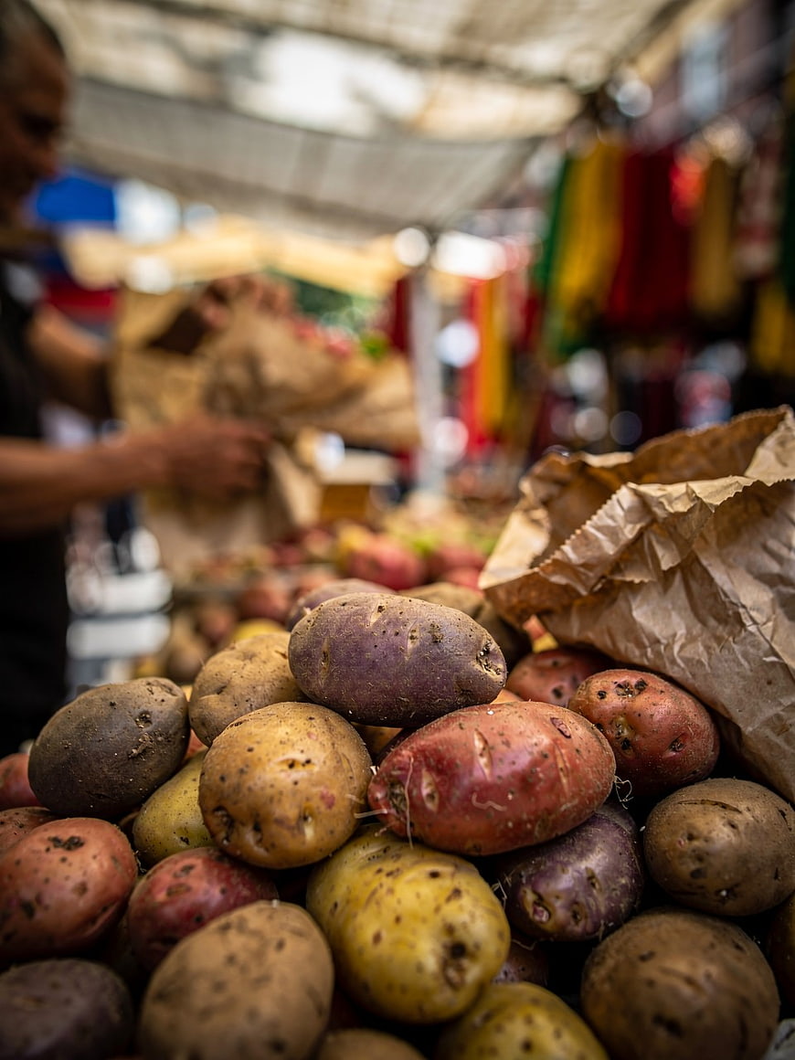 Colorful Assortment of Fresh Potatoes at Farmers Market