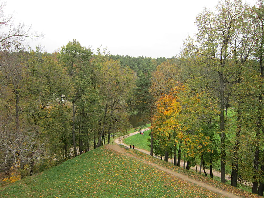 Autumn Forest Landscape with Winding Path and Green Hills