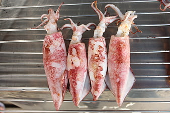 Fresh raw squid lined up on metal grill rack