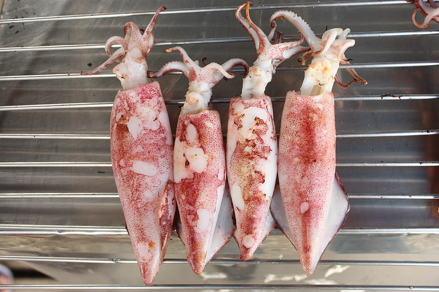 Fresh raw squid lined up on metal grill rack