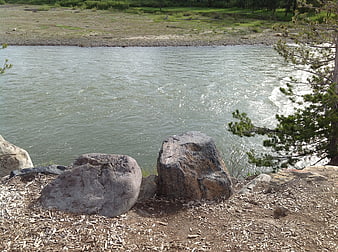 Rocks on riverbank with flowing water and pine tree