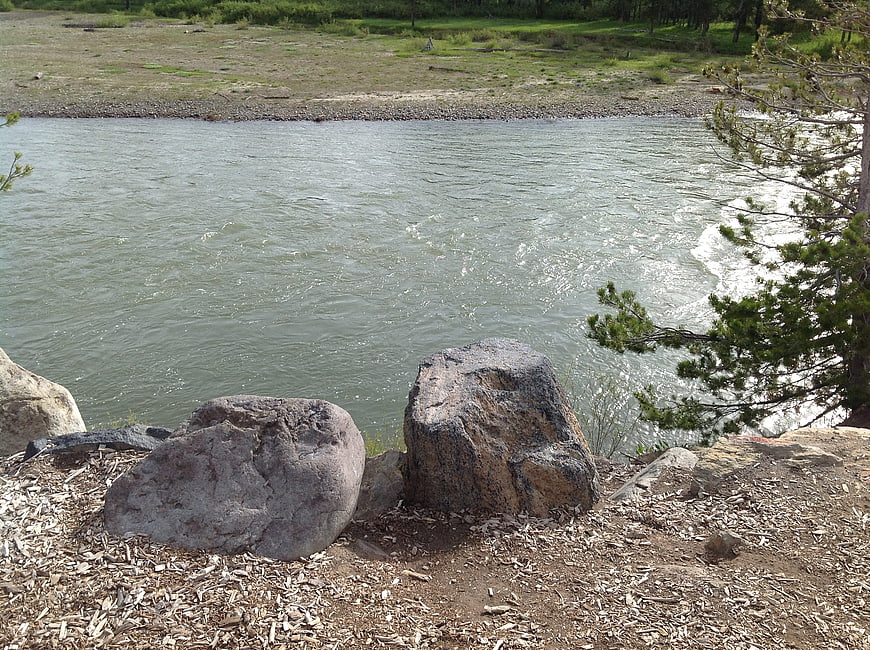 Rocks on riverbank with flowing water and pine tree