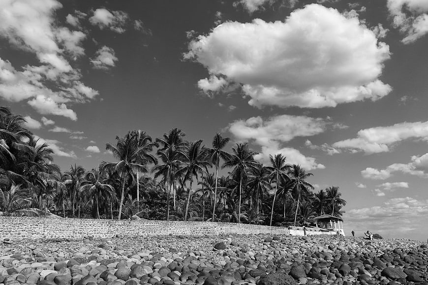 Black and white tropical beach with palm trees and rocky shore