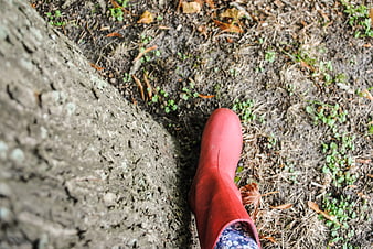 Child's red rain boot on forest floor near tree