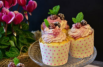 Delicious Raspberry Cupcakes with Mint Garnish on Glass Plate