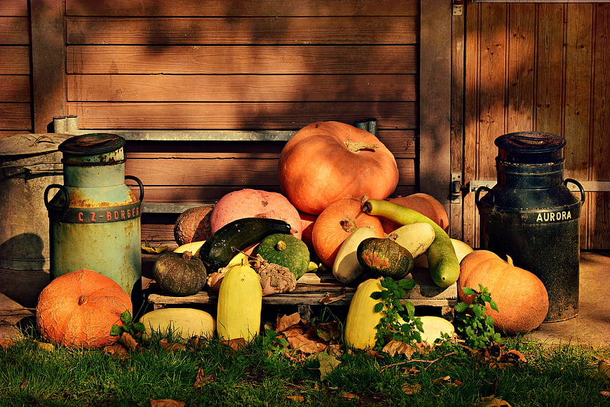 Autumn Harvest Still Life With Pumpkins And Vintage Milk Cans