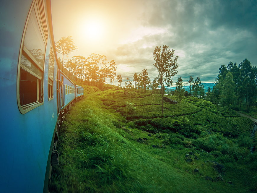 Blue Train Traveling Through Green Tea Plantations at Sunrise
