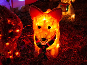 Illuminated Christmas Corgi Decoration on Grass at Night