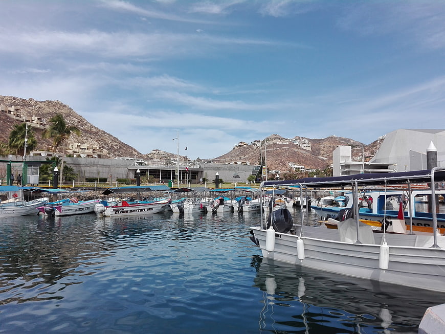 Boats docked in a sunny marina with mountains