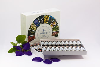 Healing Herbs Original Bach Flower Essence Kit with Vials and Purple Flower