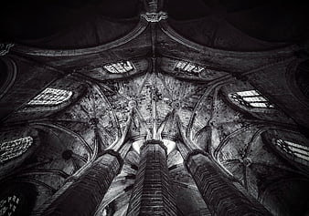 Black and white gothic cathedral ceiling architecture