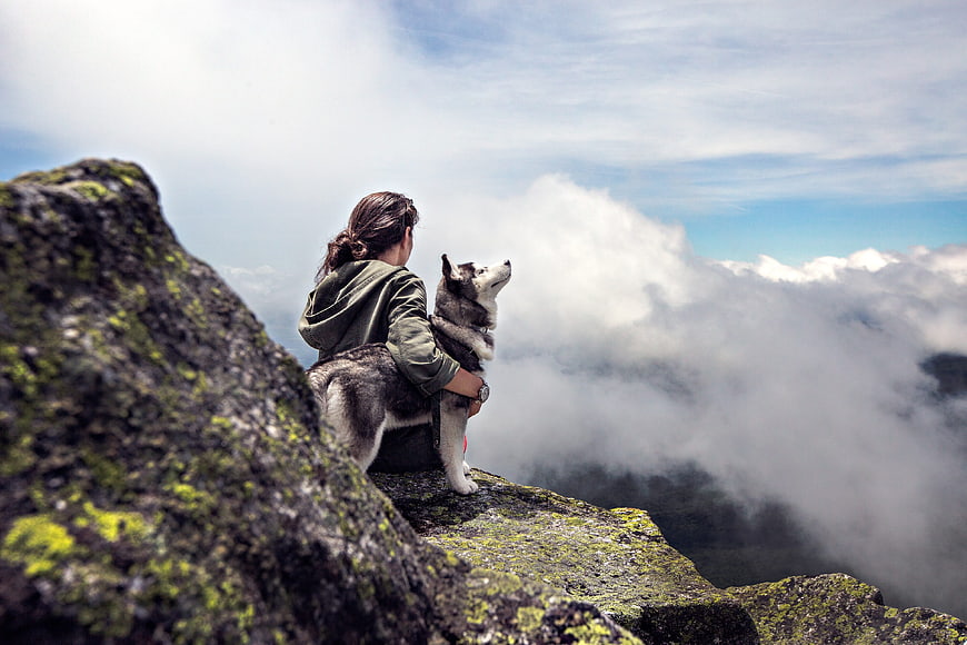 Woman and Husky Dog Sitting on Mountain Peak Above Clouds