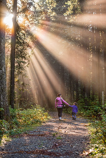 Mother and daughter hiking in sunlit forest