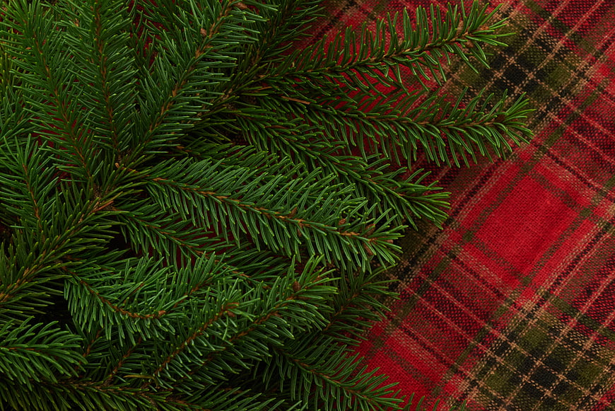 Christmas Pine Branches on Red Plaid Background