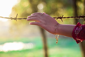 Woman's Hand Touching Barbed Wire in Golden Light